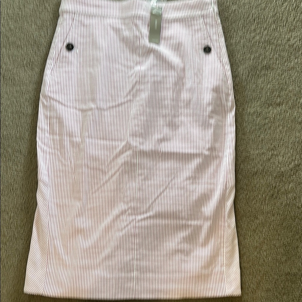 J Crew Striped Pink/ WhiteSkirt